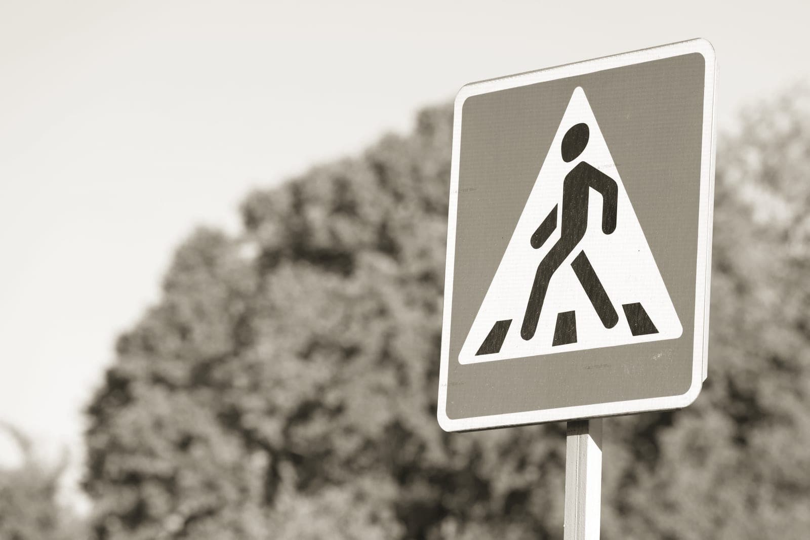 A pedestrian crossing and traffic sign on a city street