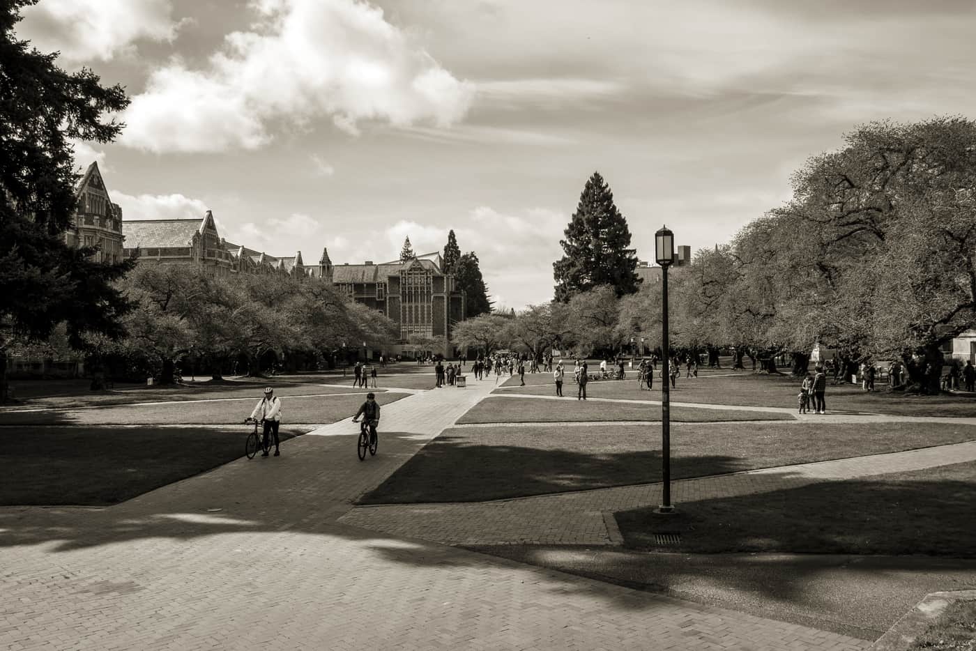 Students walking along a university campus path