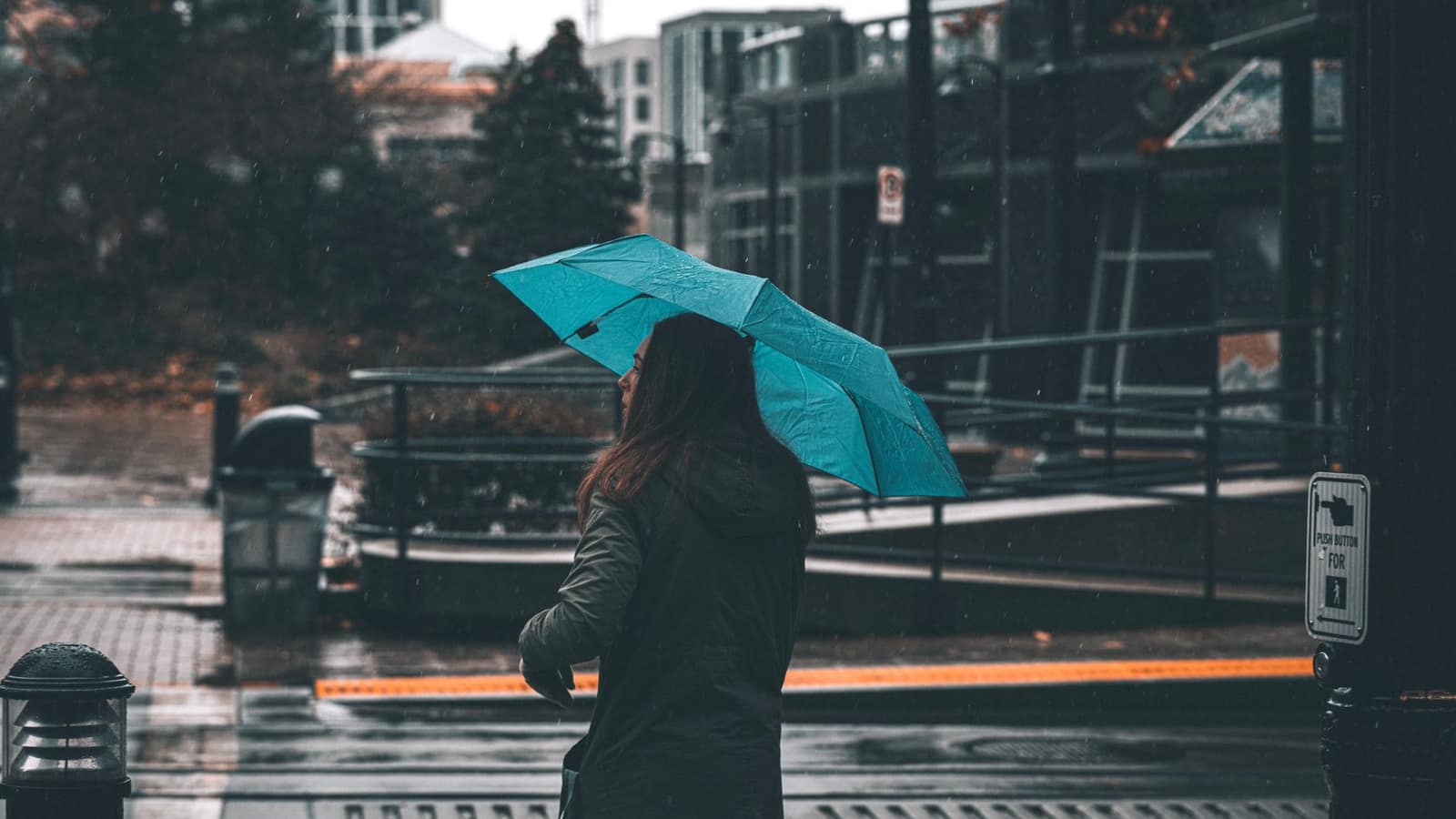 Rain falling on a city street, pavement wet and reflecting the buildings